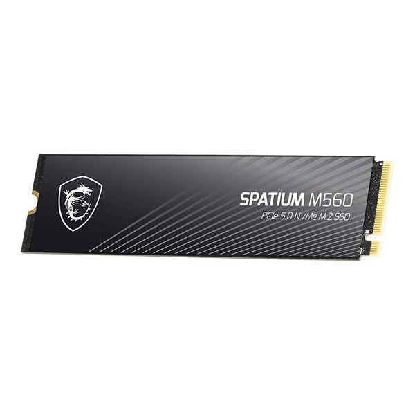 اس اس دی اینترنال PCIe Gen5 x4 ام اس آی مدل SPATIUM M560 ظرفیت 1 ترابایت