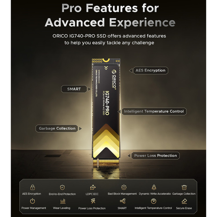 اس اس دی اینترنال PCIe Gen4 x4 اوریکو مدل IG740PRO-1TB ظرفیت 1 ترابایت